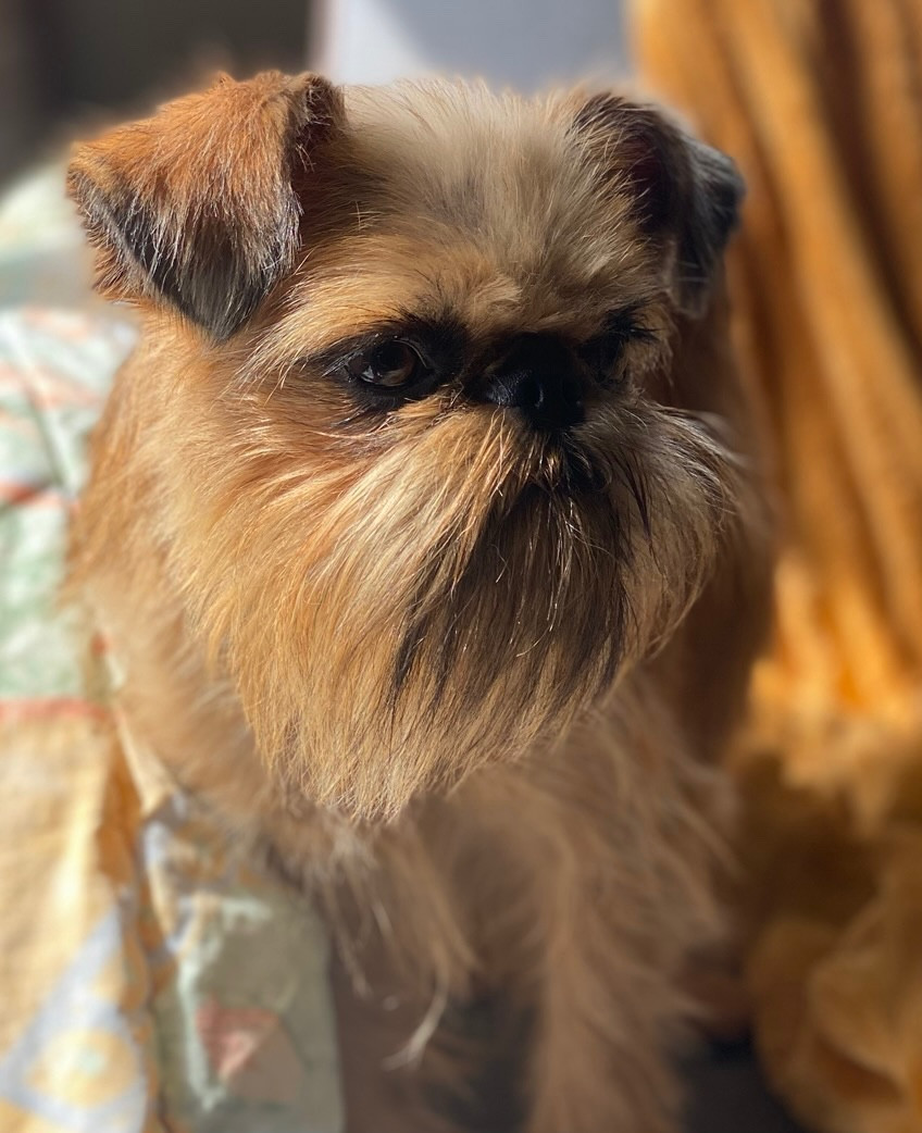 Publication : Another Day In Paradise 