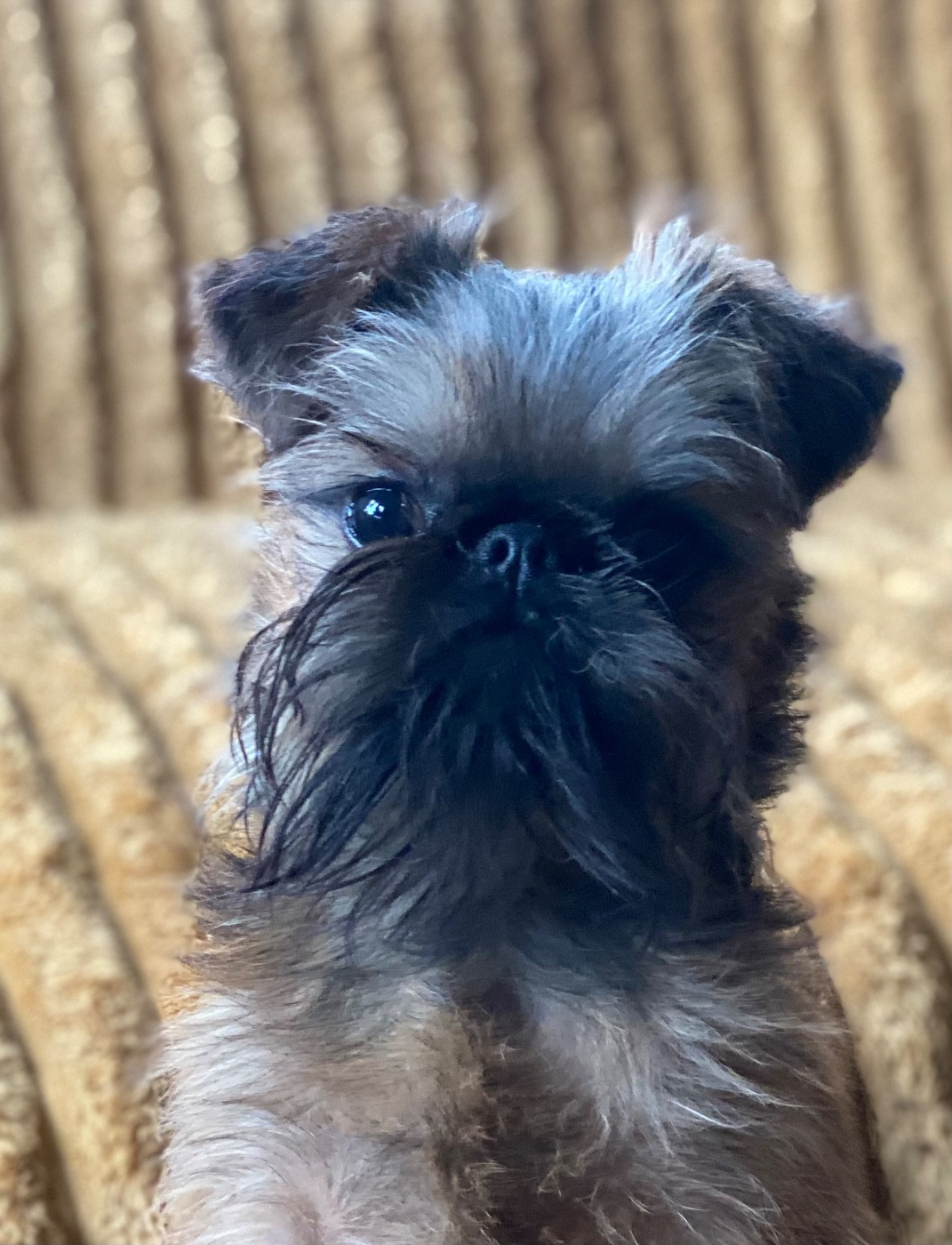 Publication : Another Day In Paradise 