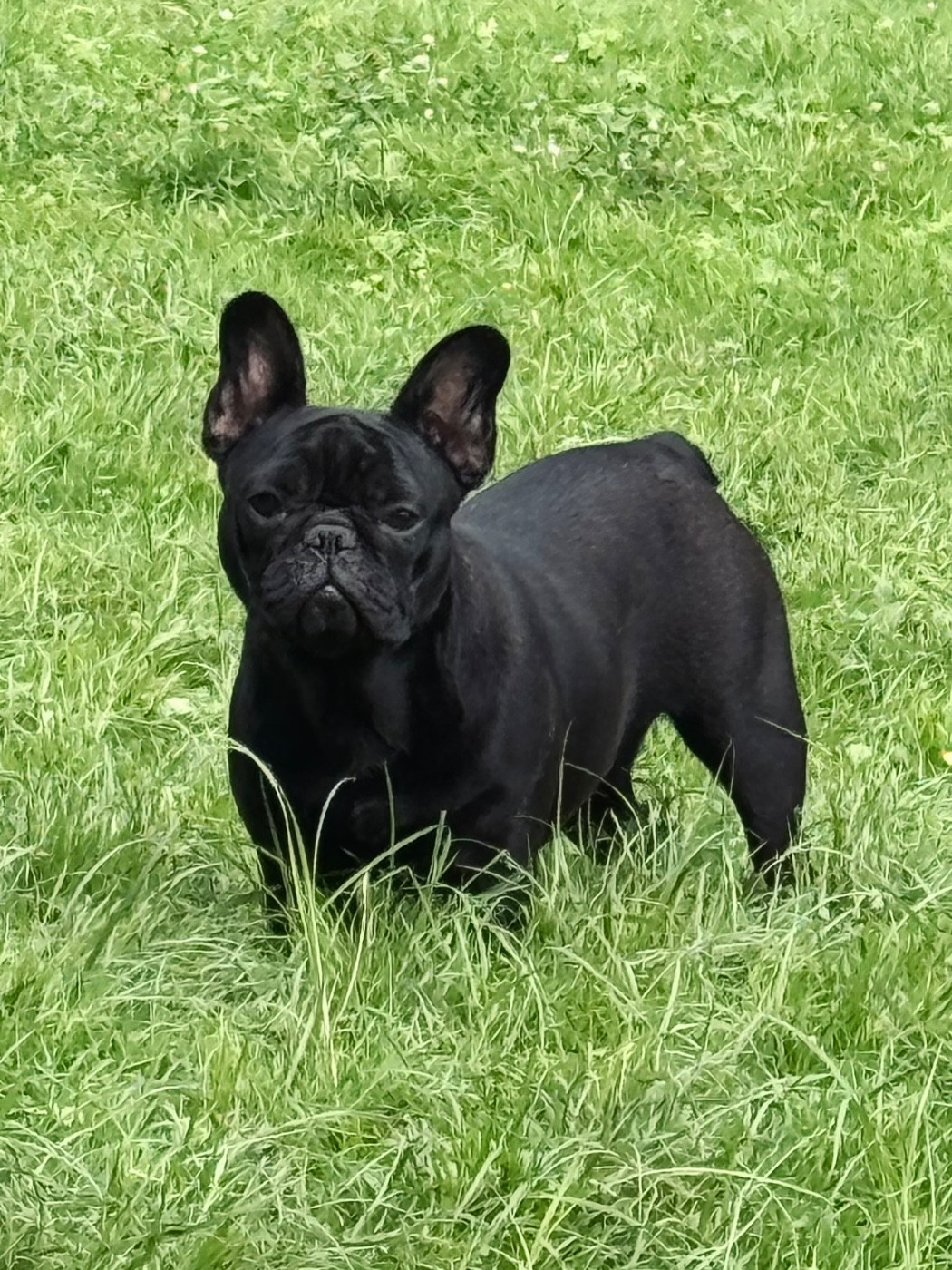 Publication : De L'Ivresse D'Amour 