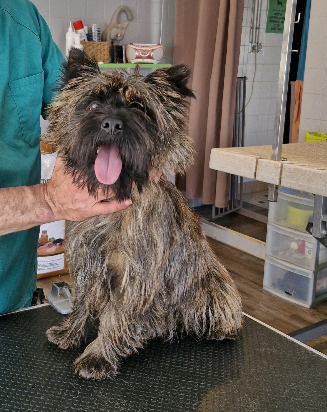 Publication : du domaine de kerallan Auteur : Domaine de Kerallan