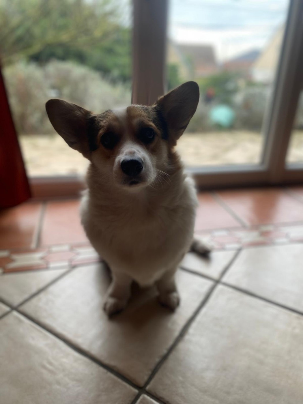 Publication : Des Terres D’Ohlain Auteur : MOI MEME