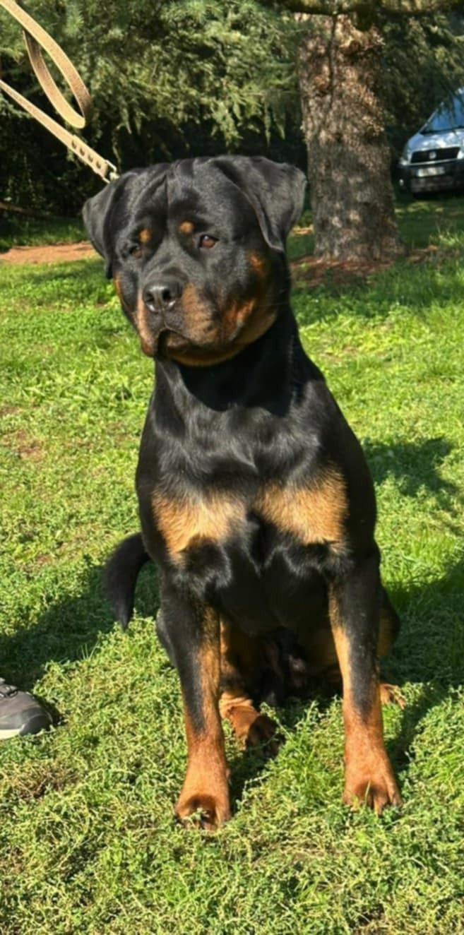 Publication : Des Nouradons 