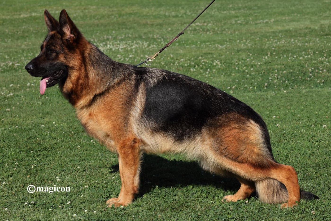 Publication : du val d'Anzin 