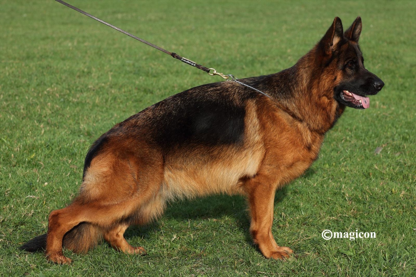 Publication : du val d'Anzin 