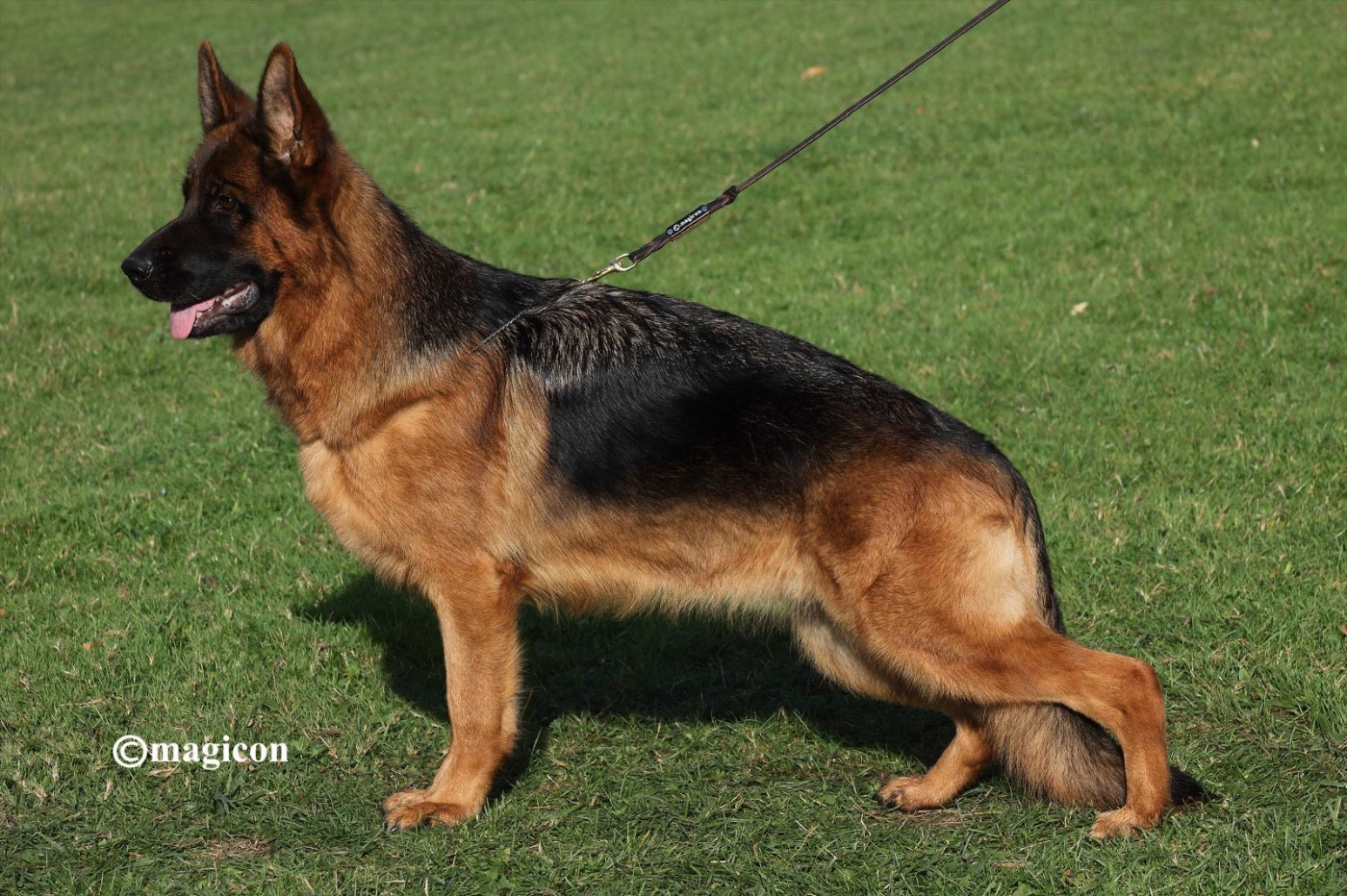 Publication : du val d'Anzin 