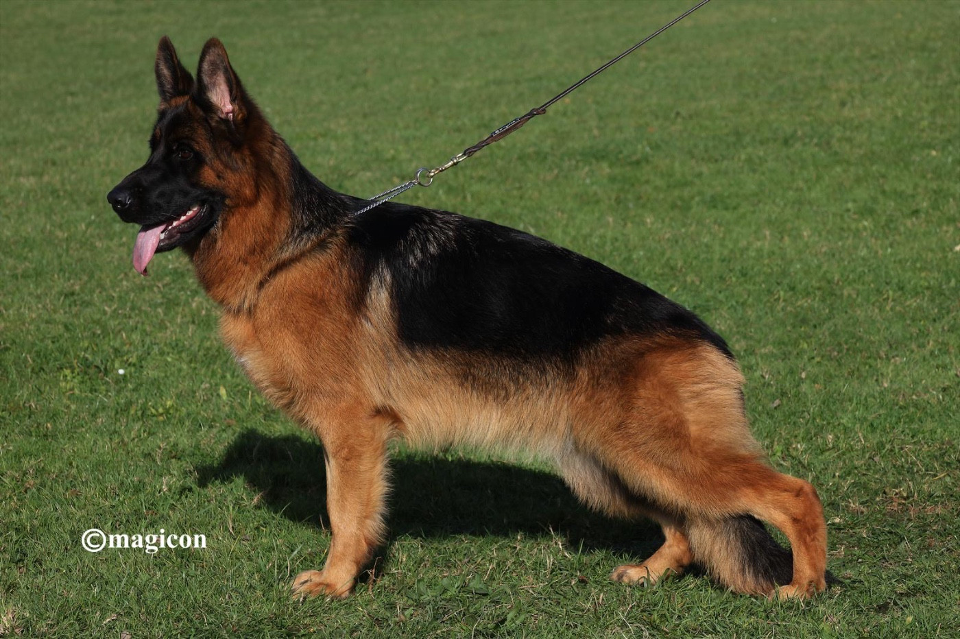 Publication : du val d'Anzin 