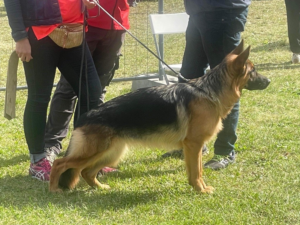 Publication : Von Die Weisen Lander Auteur : Moi