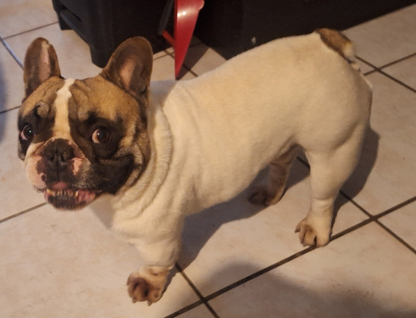 Publication : De La Villa De Tessky 