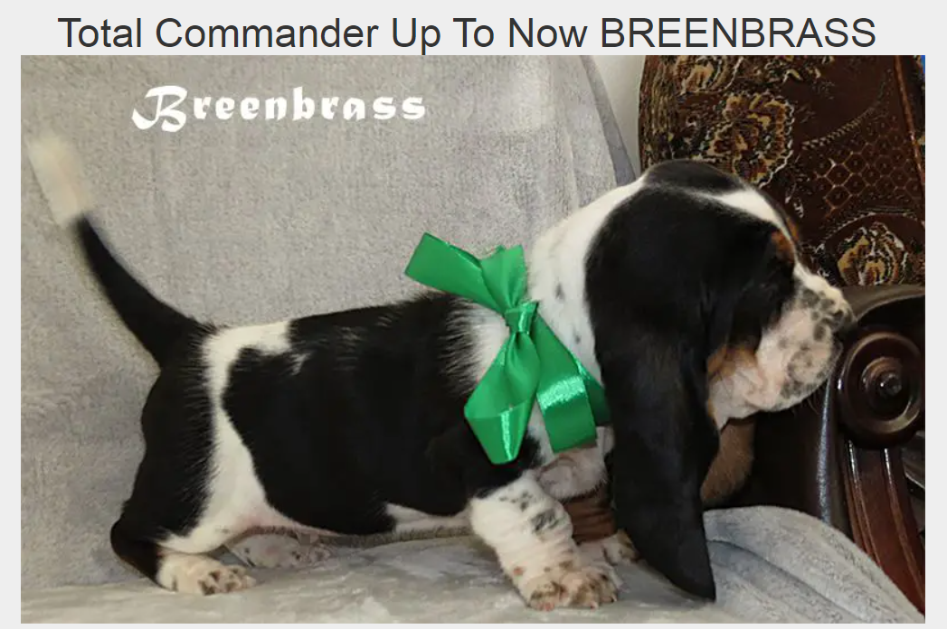 total commander up to now breenbrass
