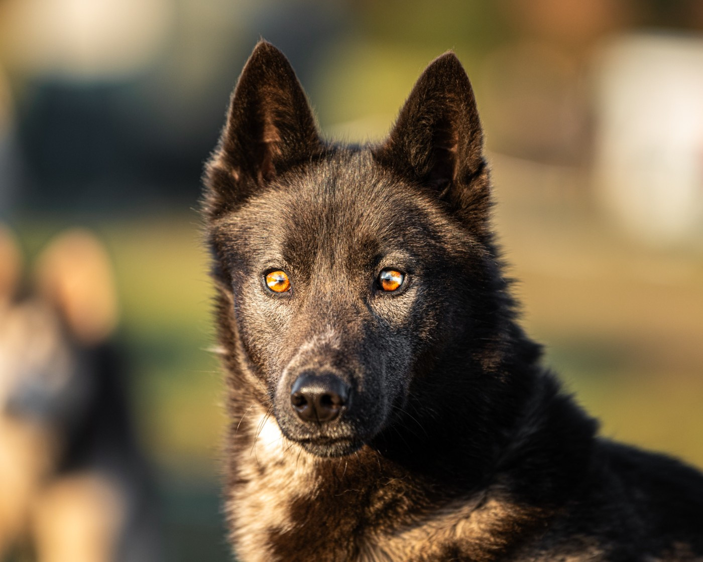 Publication : Of Northern Lights Spirit 