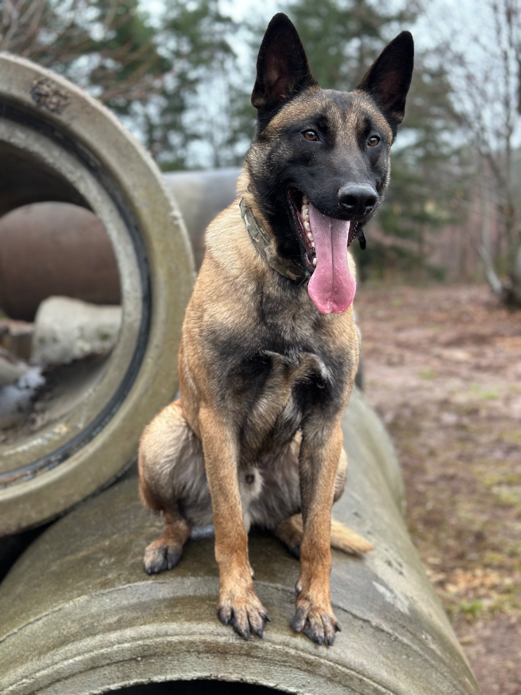 Publication : du Domaine De La Rebeyrie 