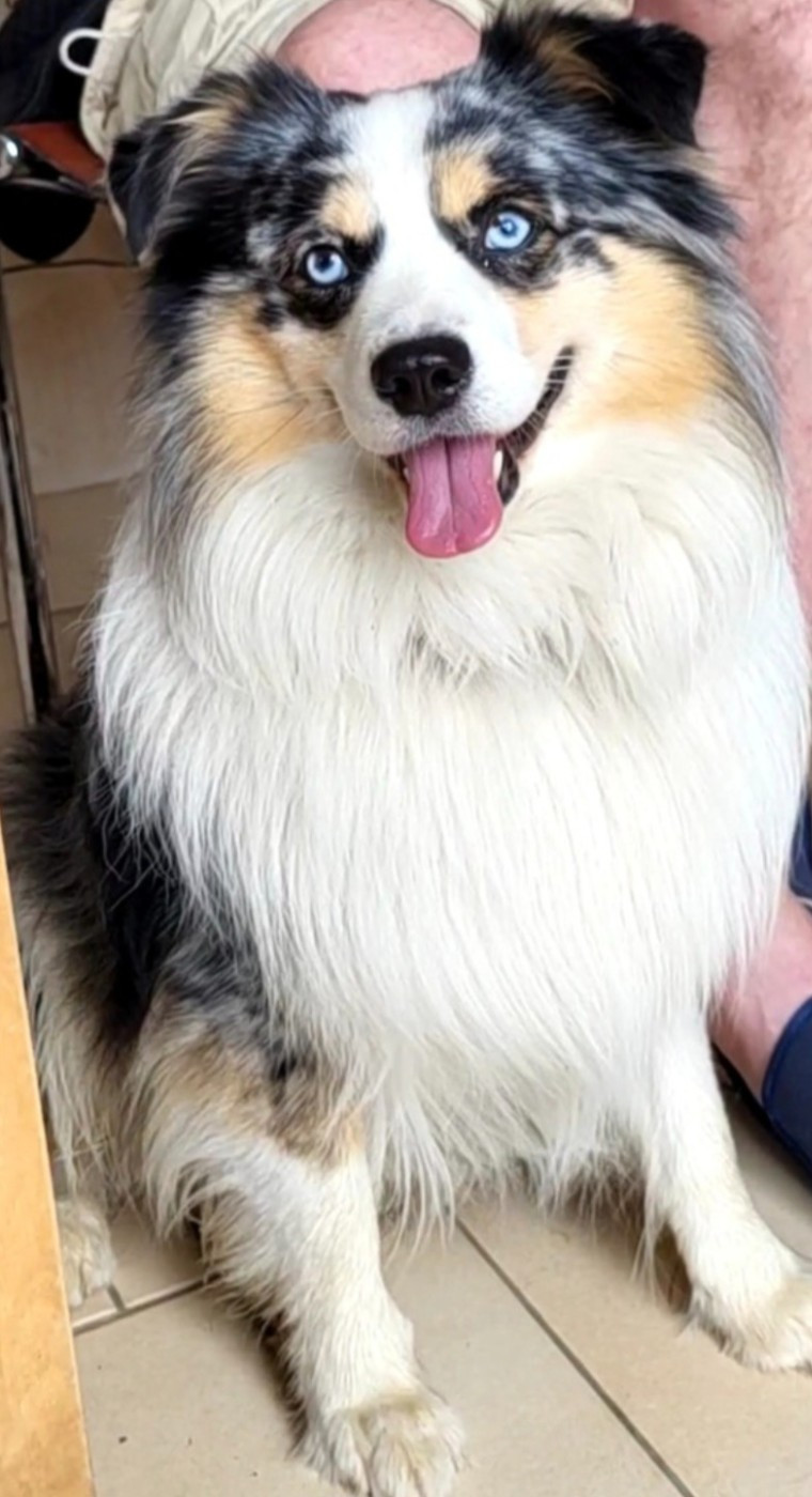 Publication : des Ecuries du Conti 