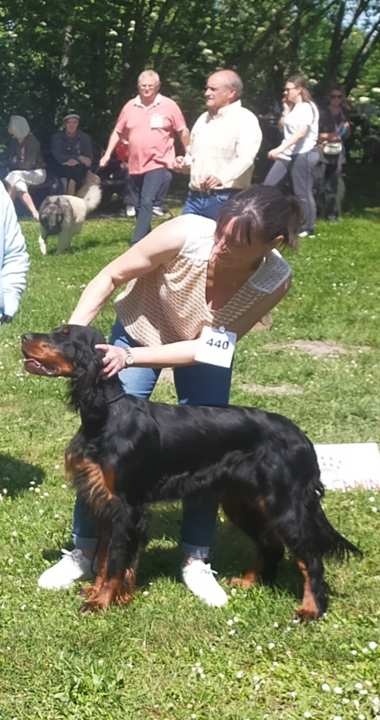 Publication : Des brumes de la prée Auteur : CF