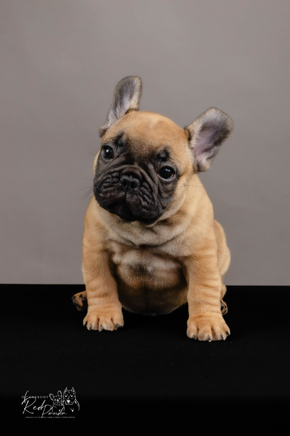 Publication : Du chemin des moulins 