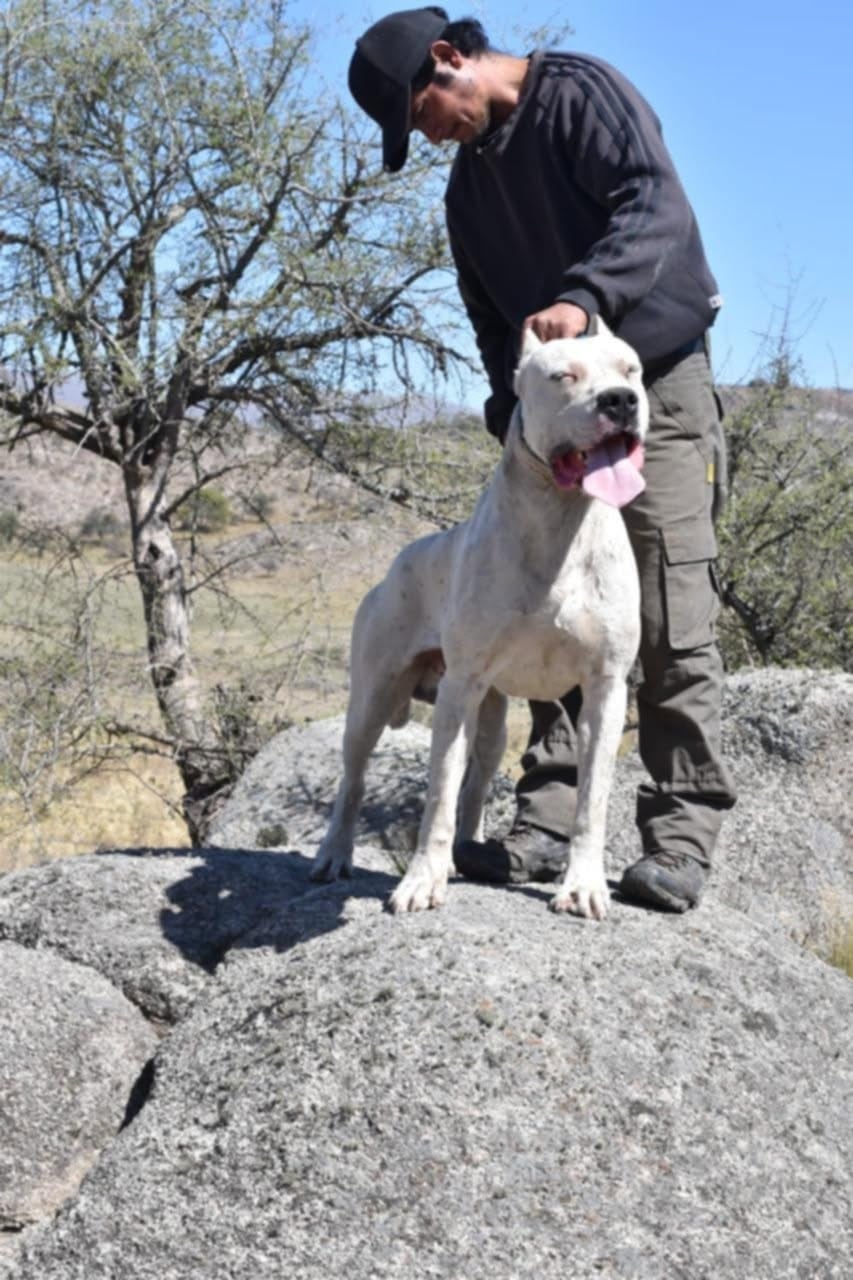 Publication : du domaine de Giulaxe Auteur : La Cocha