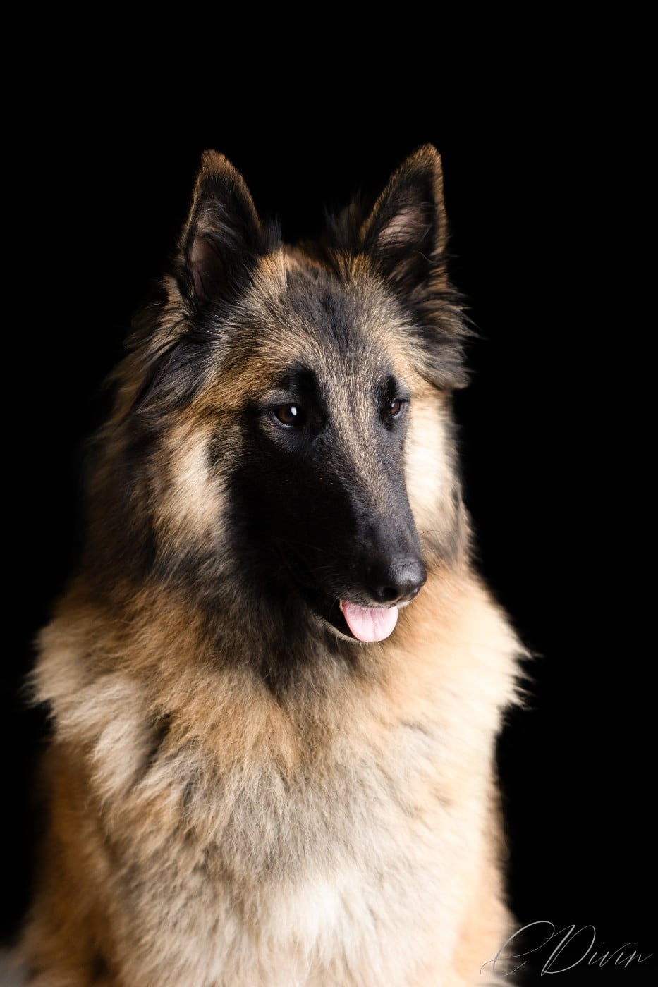 Publication : Of Ops Des Beys Auteur : CDivin Photographie