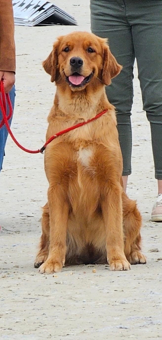 Publication : De L'Appel Du Large 