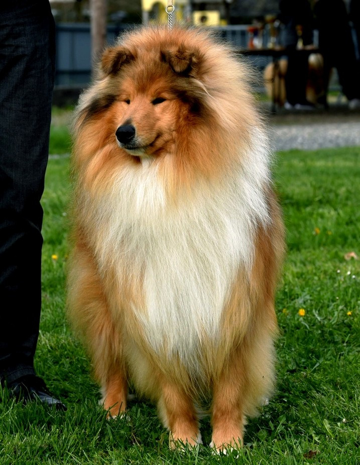 Publication : Du Clos De Seawind Auteur : Colleys du Village au Noir