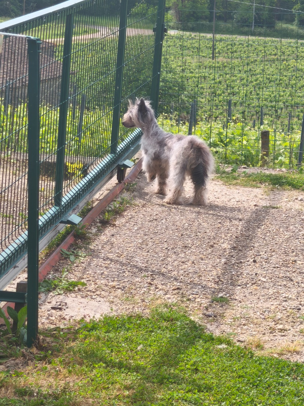 Publication : Du Chateau Bataille 