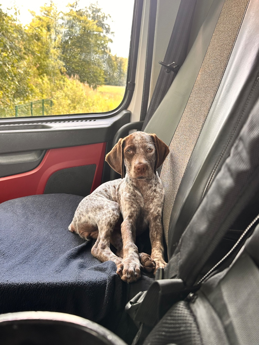 Publication : Des Braques Coeurs