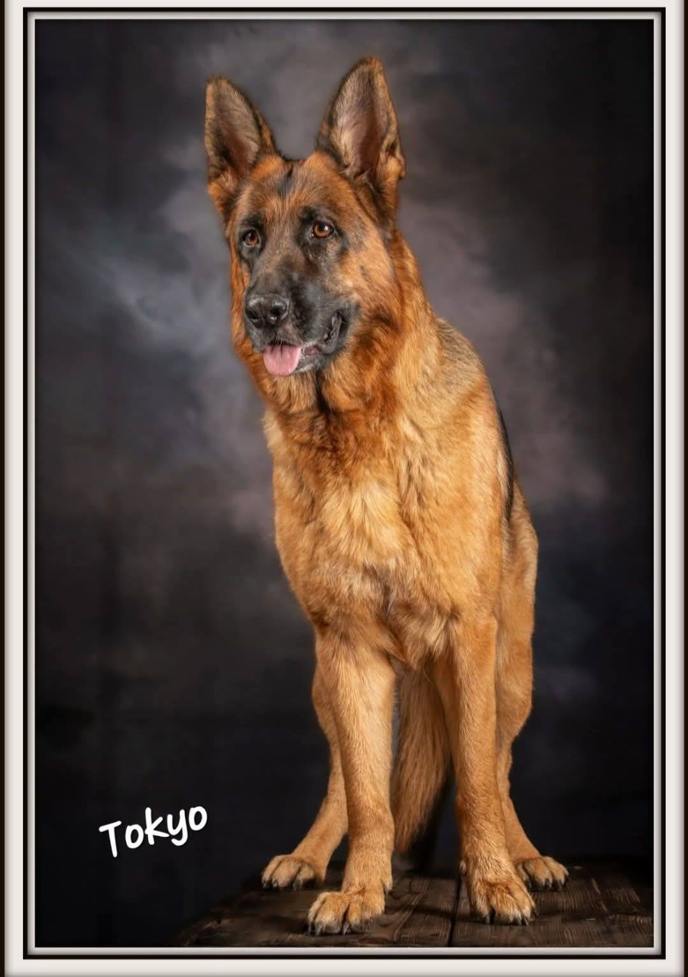 Publication : de la Grotte d'Ouvea 