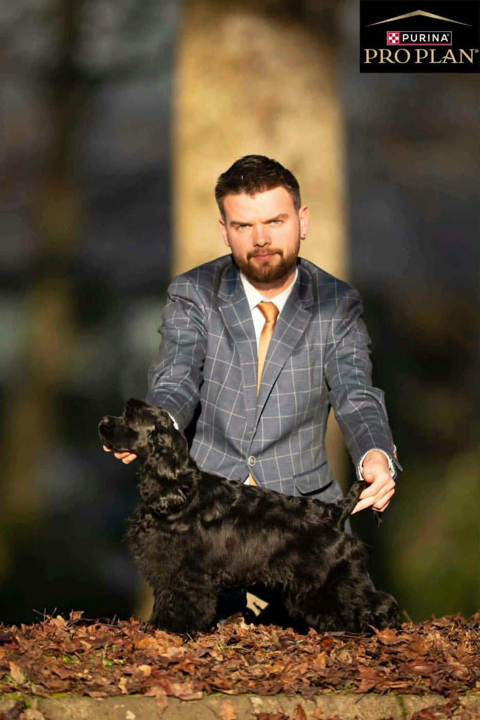 Publication : Of Love Show Auteur : Gérald soligny