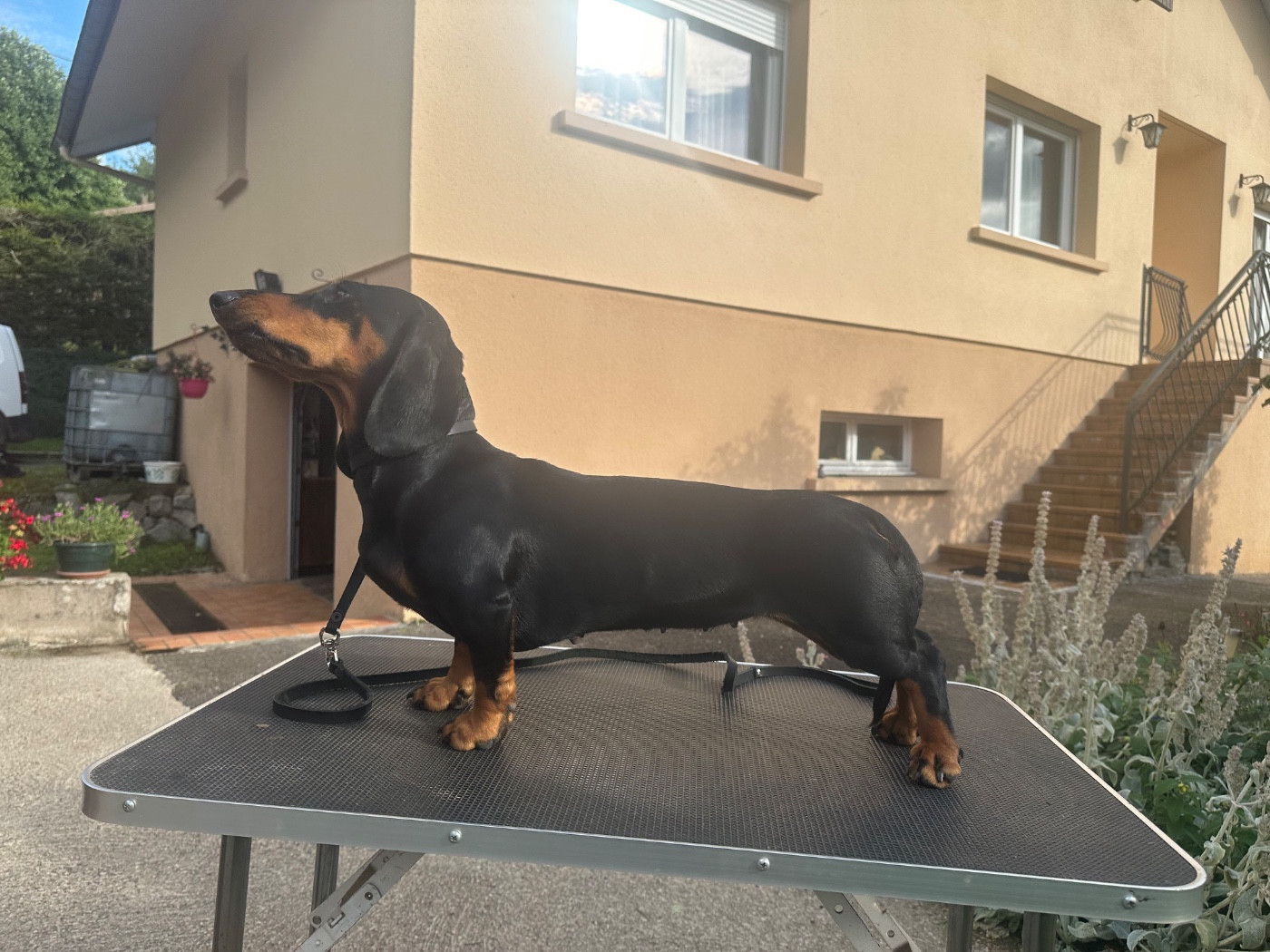 Publication : De Teremok De Anastasia Auteur : Elena Thiaville