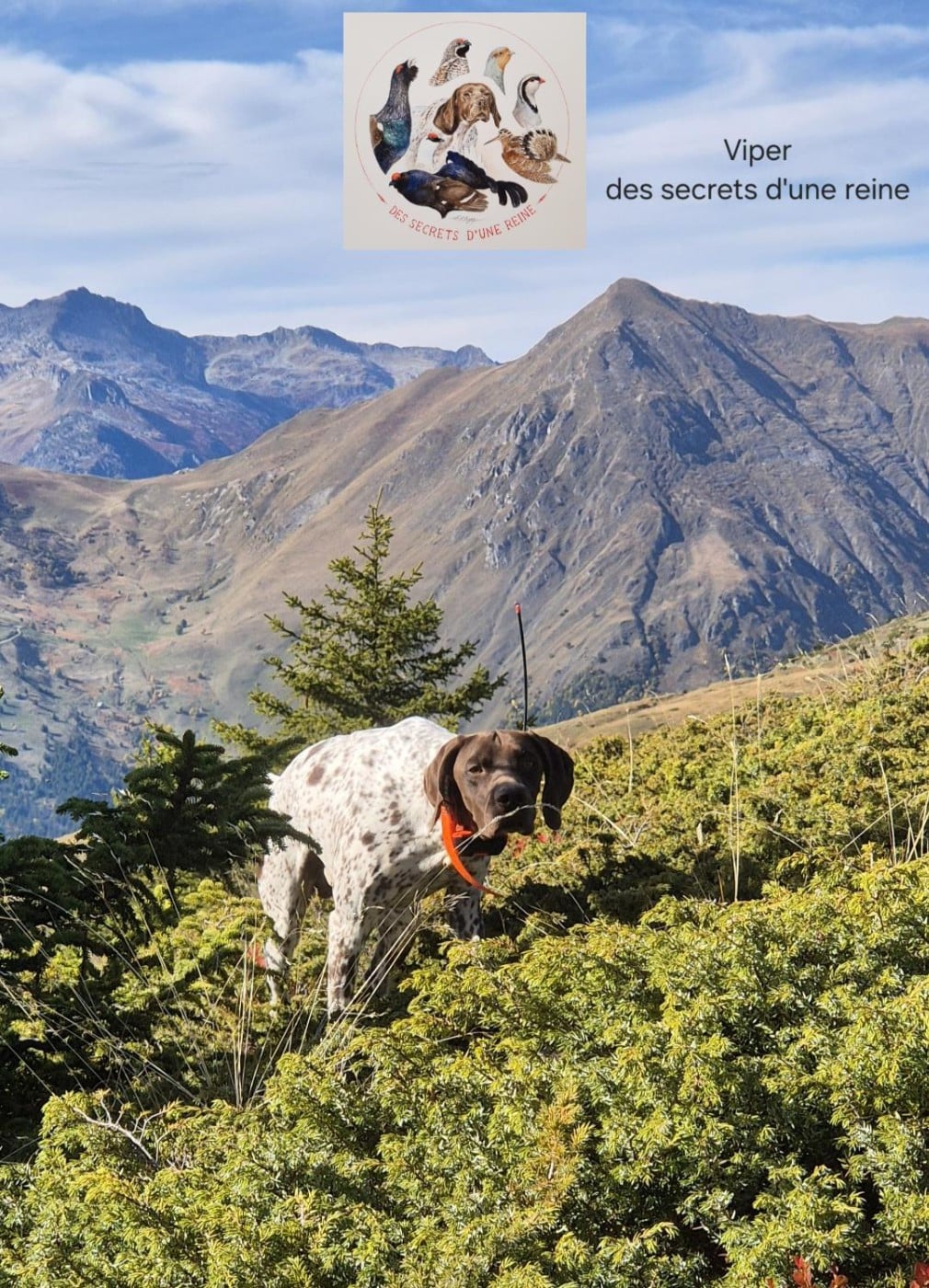 Publication : Des Secrets D'une Reine 