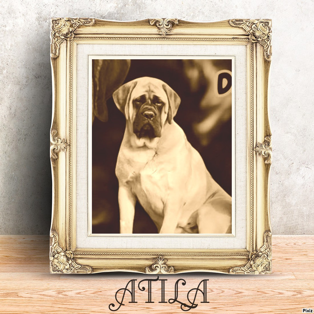 Publication : Du Domaine Des Dieux Du Feu 