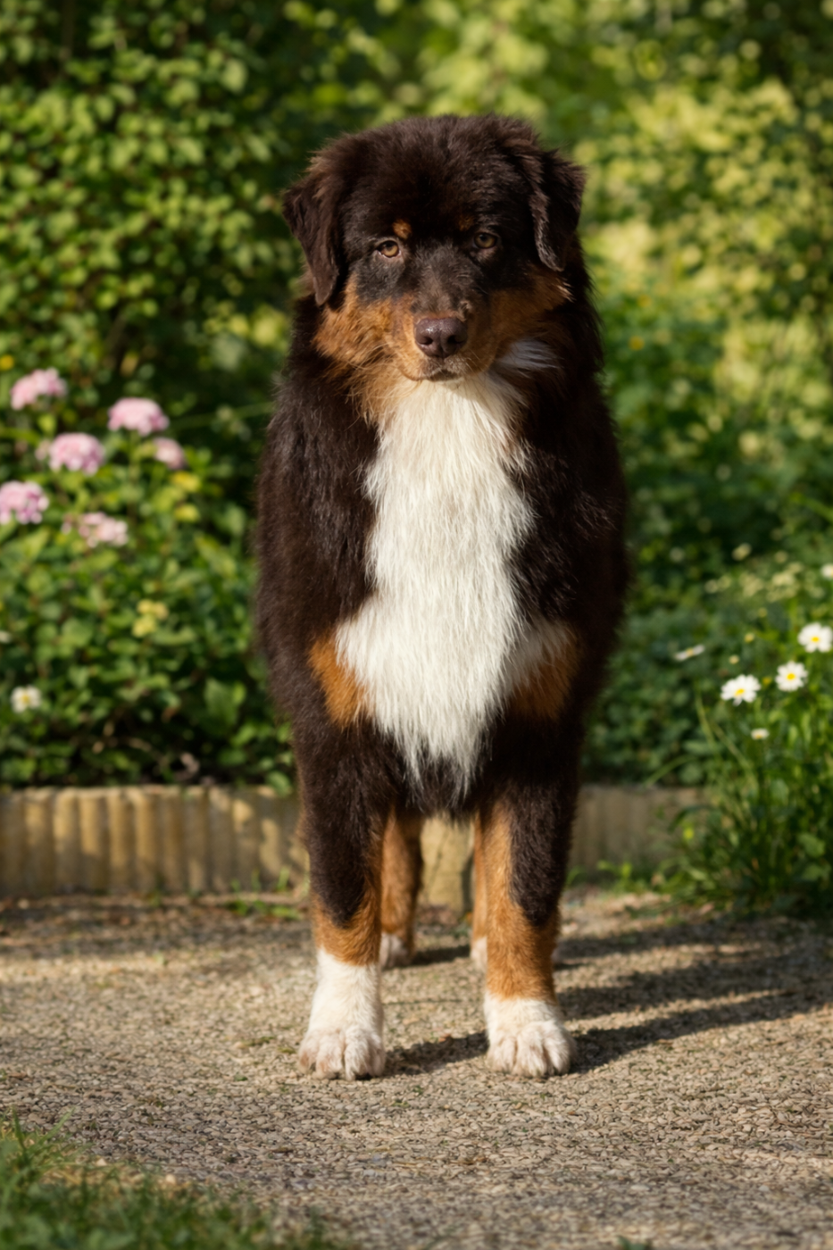 Publication : Du Bois D’Eltik Auteur : Manon