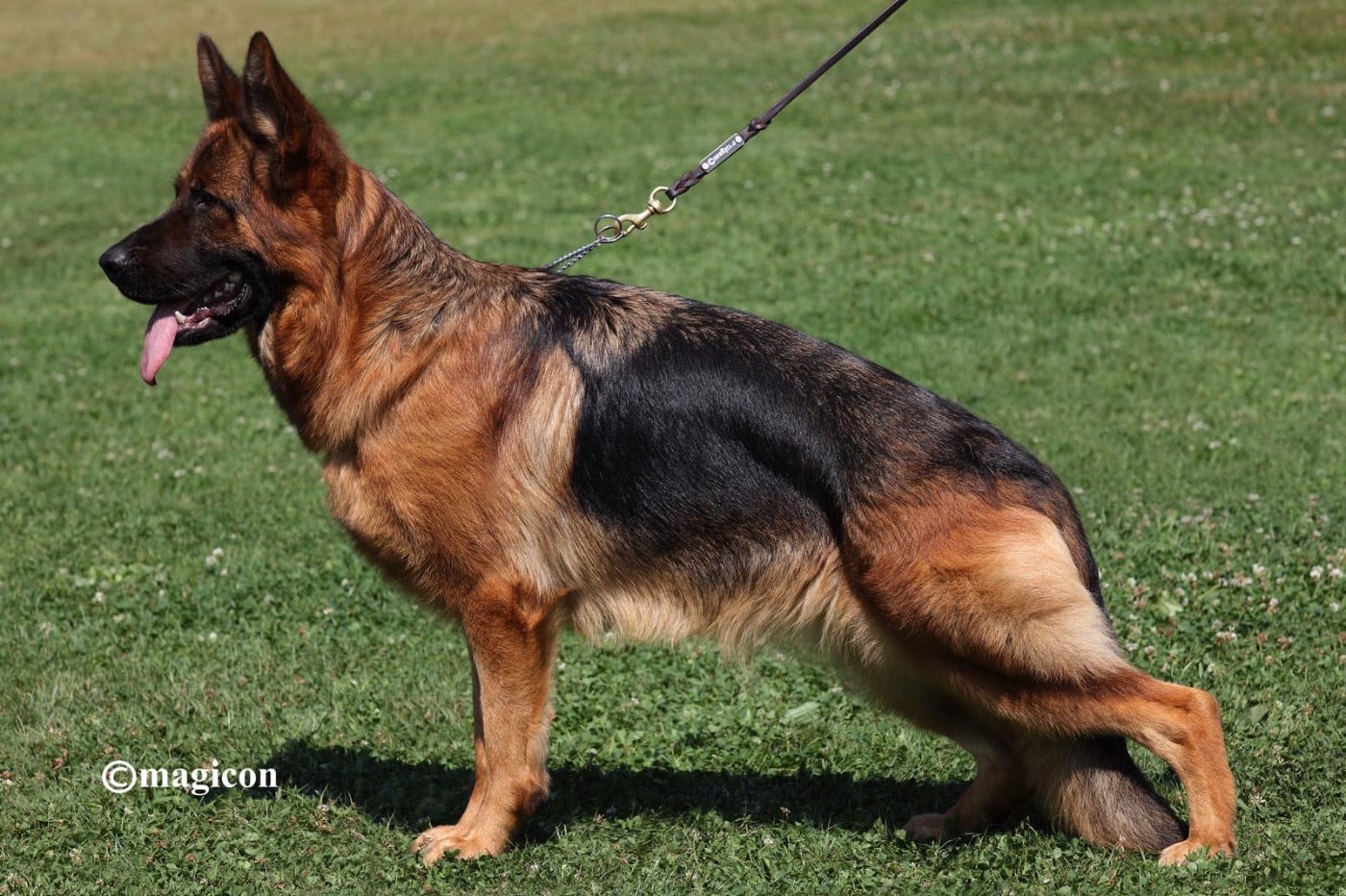 Publication : du val d'Anzin 