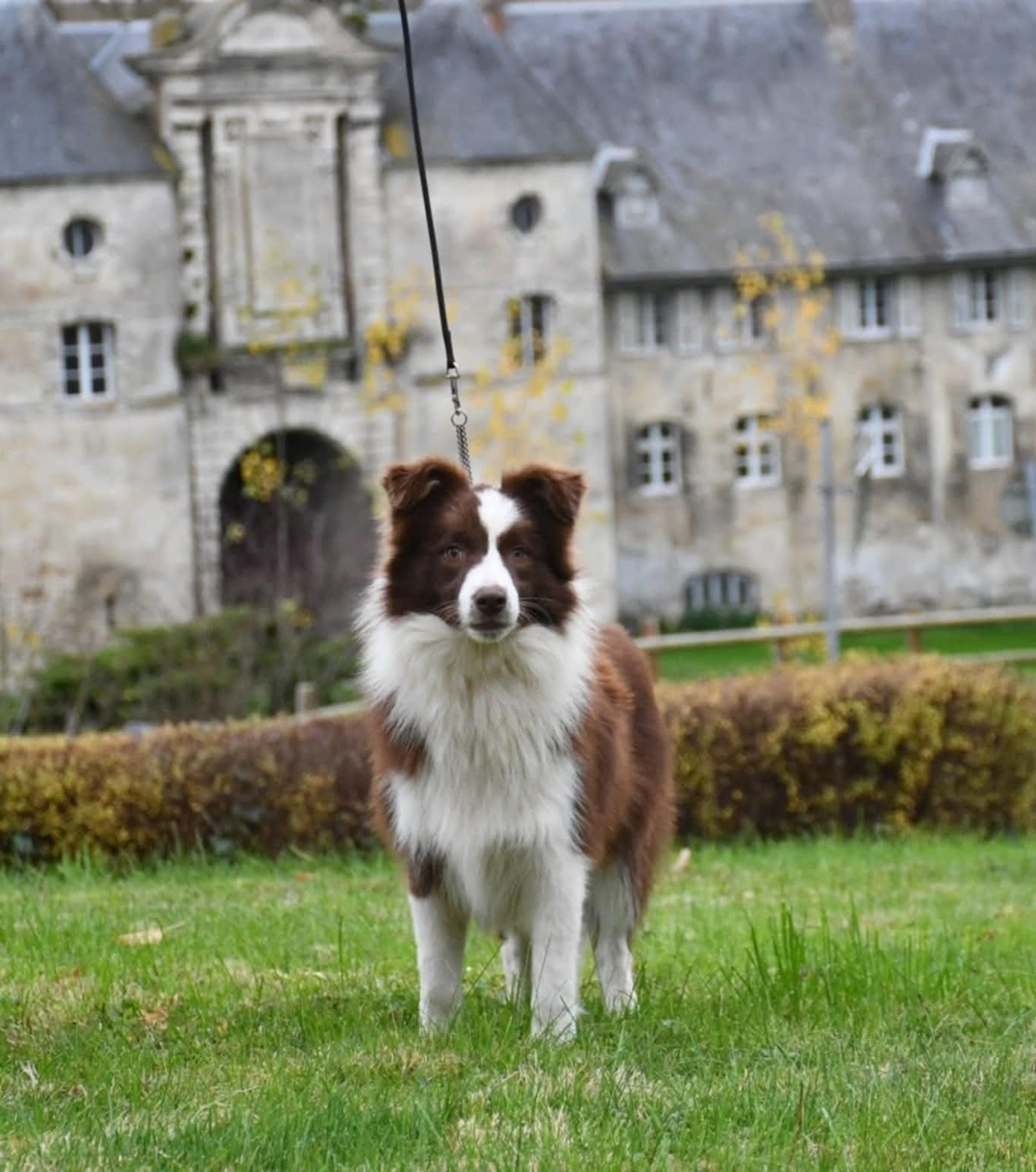 Publication : Of Pacific Spirit Auteur : Emma Dupont