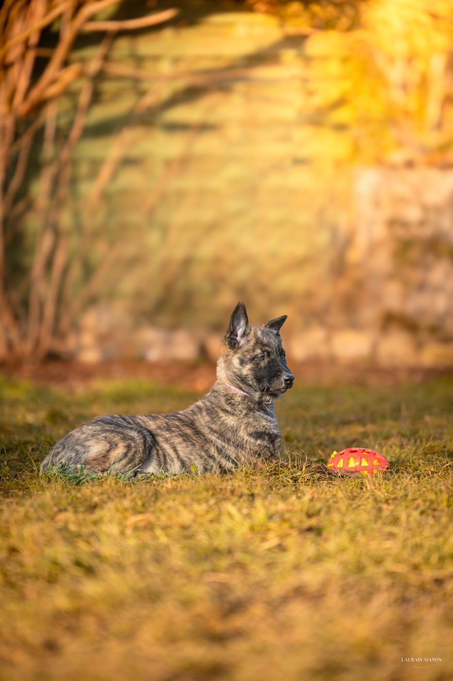 Publication : Du Domaine Des Flocons Noir