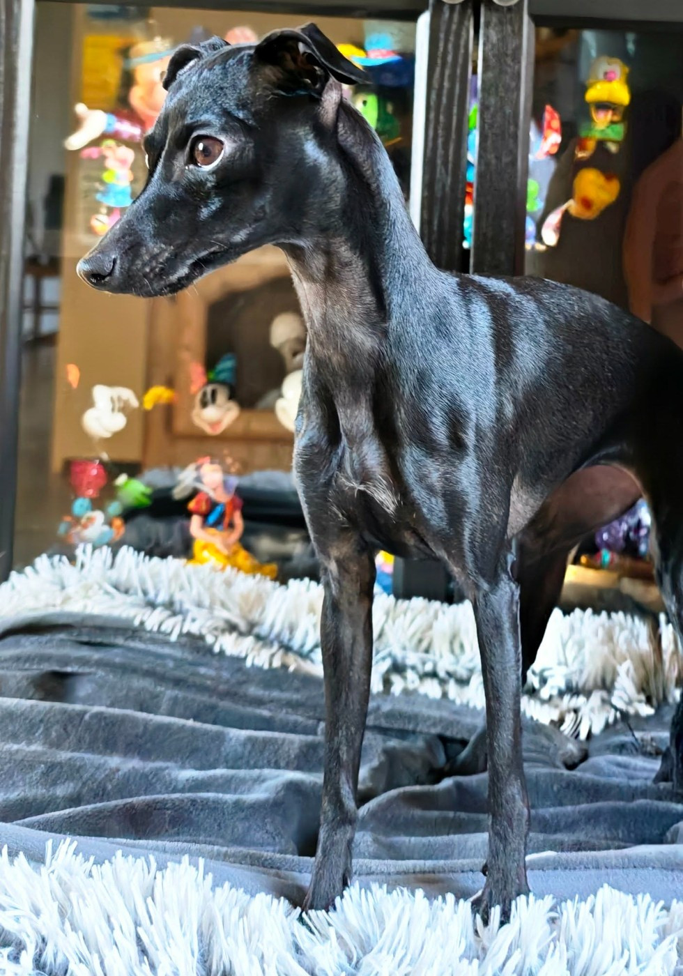 Publication : Des Petites Bouilles D’Eole