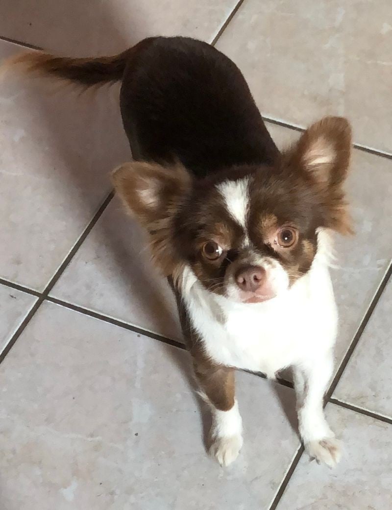 Publication : De La Pierre D'Opale 