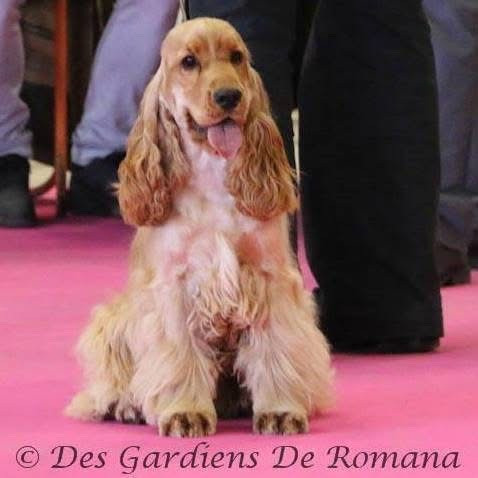 Publication : Mèden Âgan 