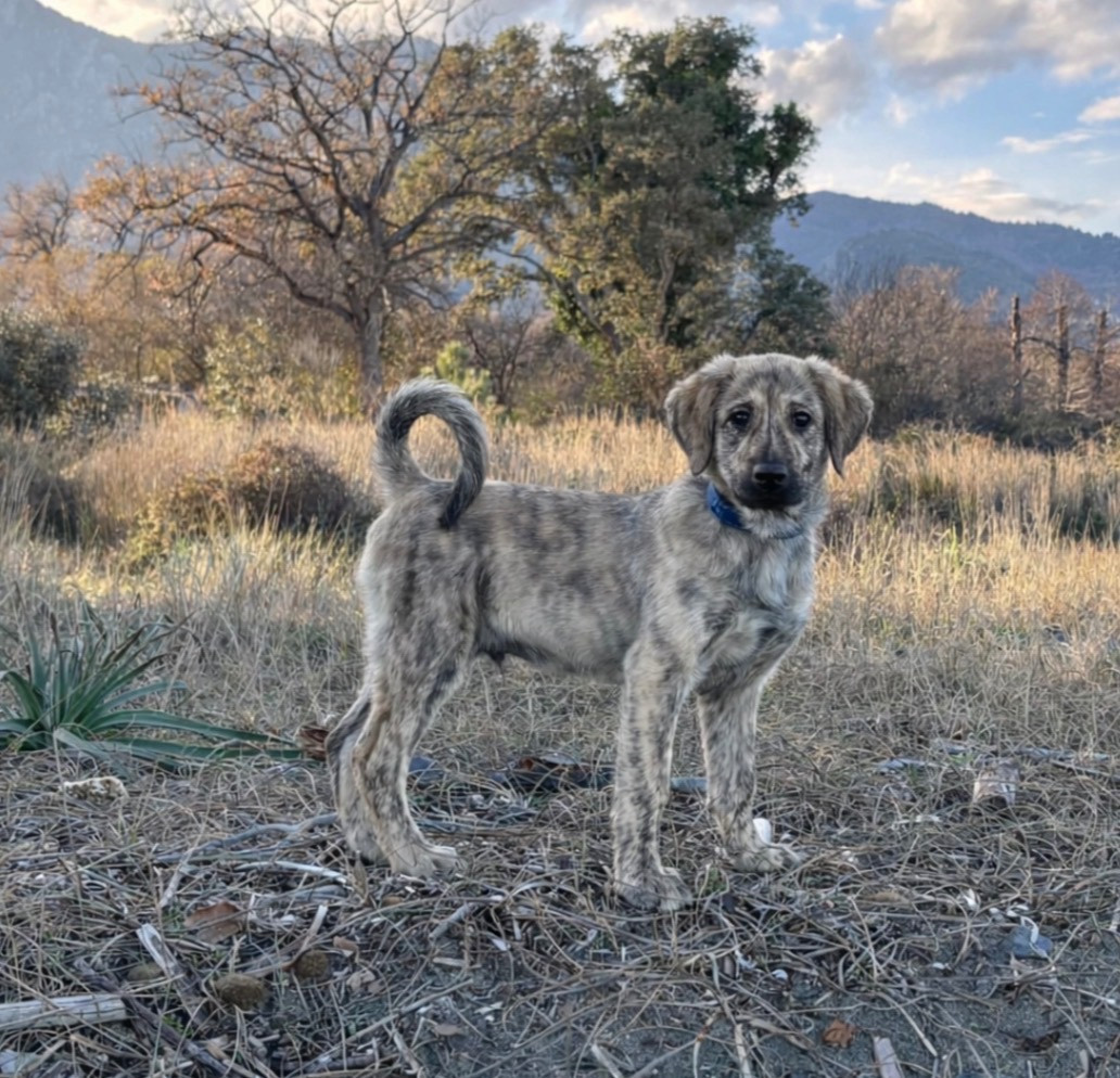 Publication : Des Embruns De Jade 