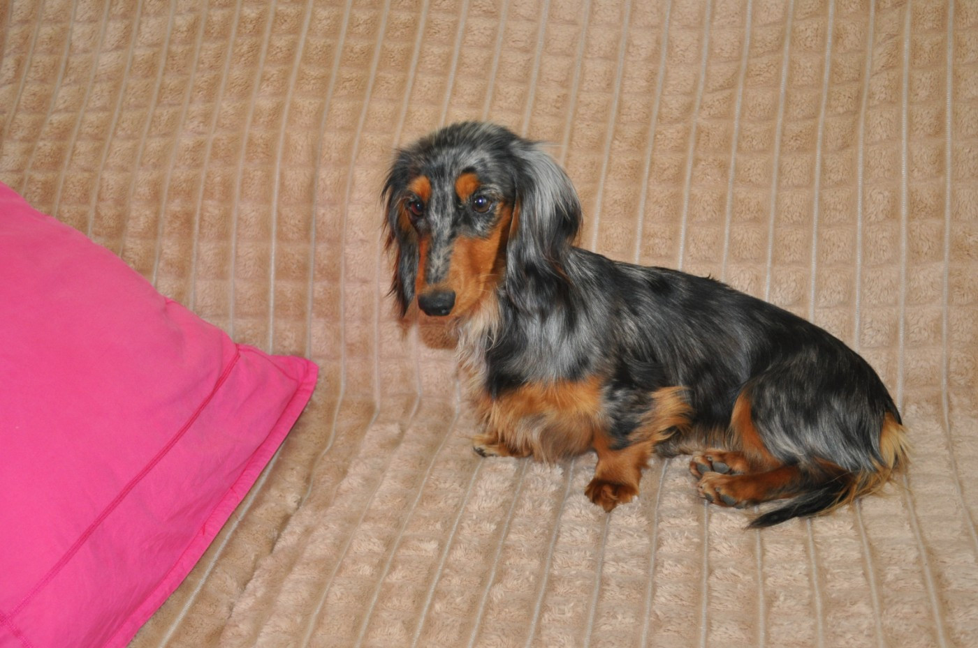 Publication : de la baie des îles 