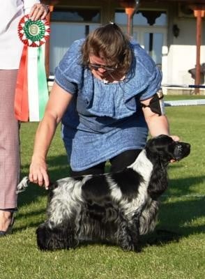 CH. Royal's Freind Wind chrimes