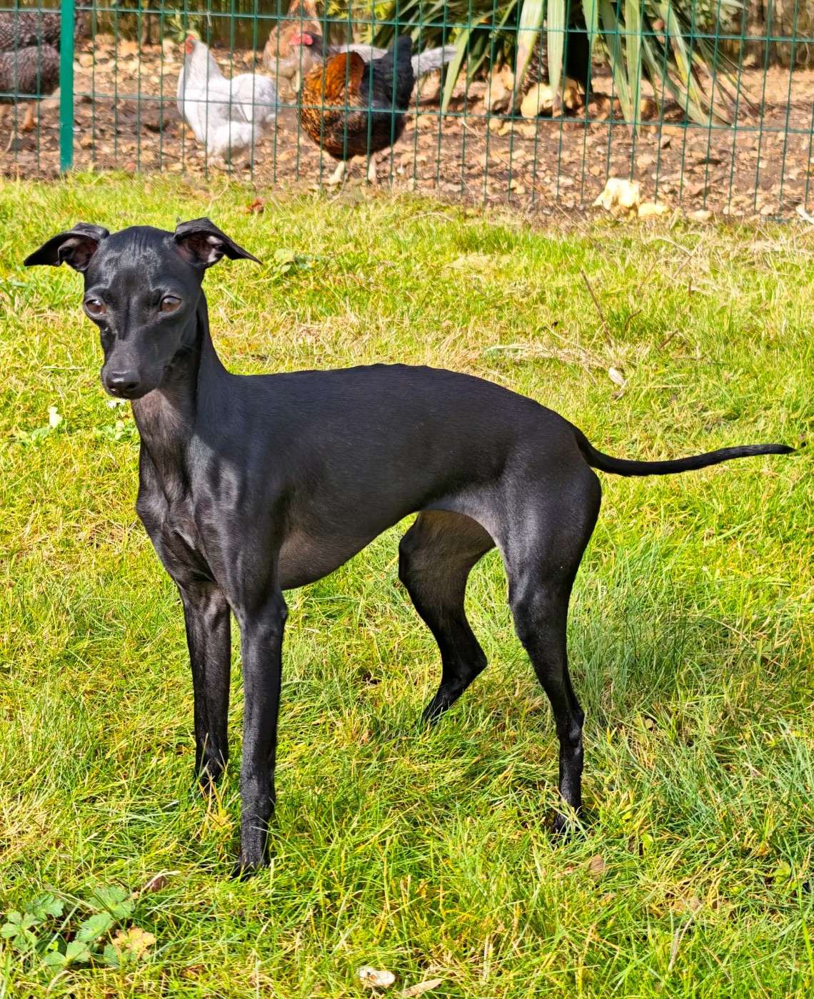 Publication : Des Petites Bouilles D’Eole 