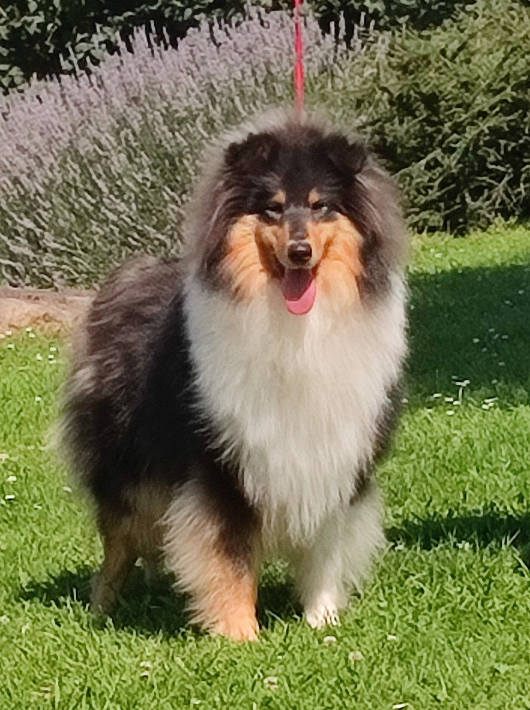 Publication : Du Clos De Seawind Auteur : Gilles MERVANT