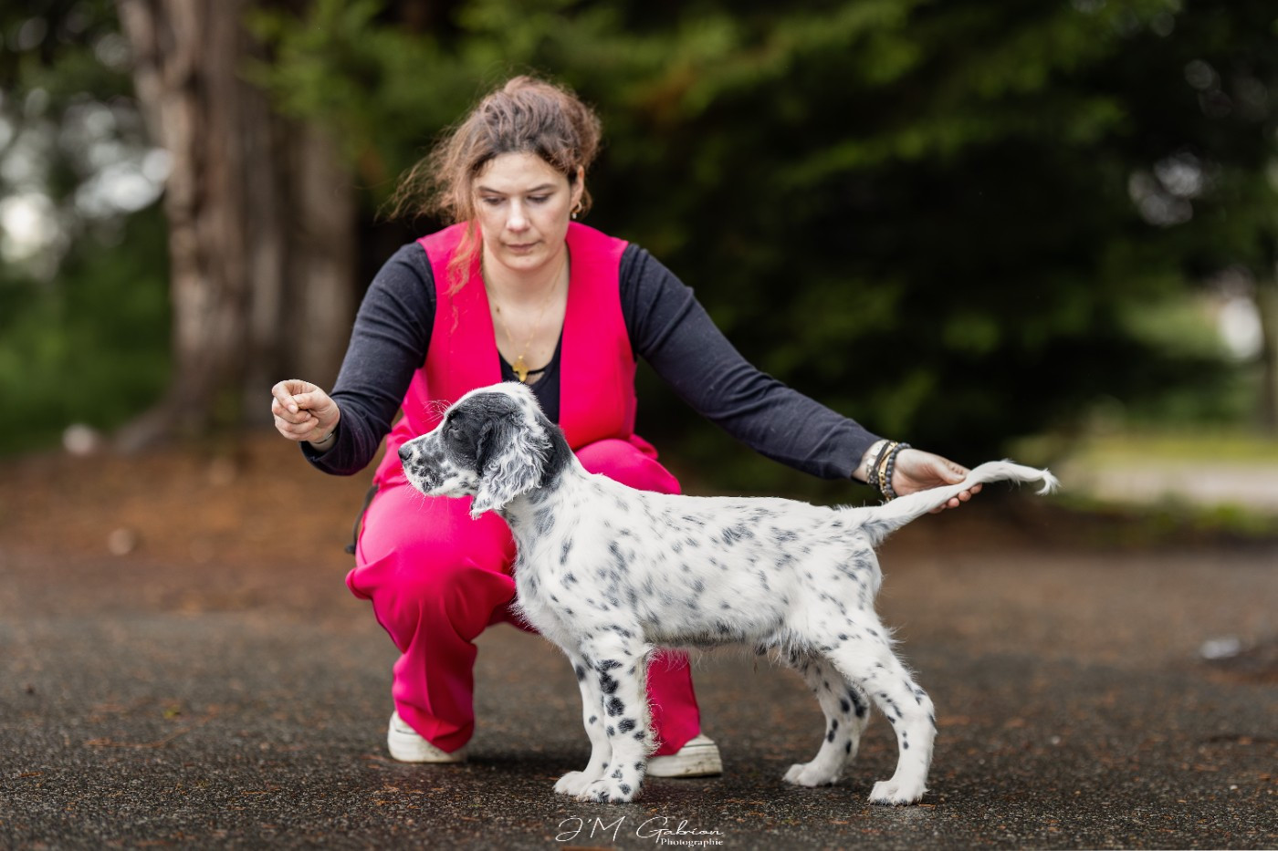 Publication : Des Arrêts De Miston Auteur : J'M Gabrion Photographe