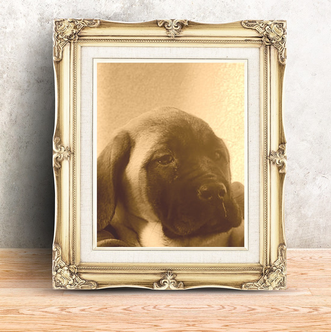 Publication : Du Domaine Des Dieux Du Feu