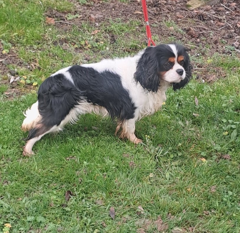 Ushuaia dit marley De la geode