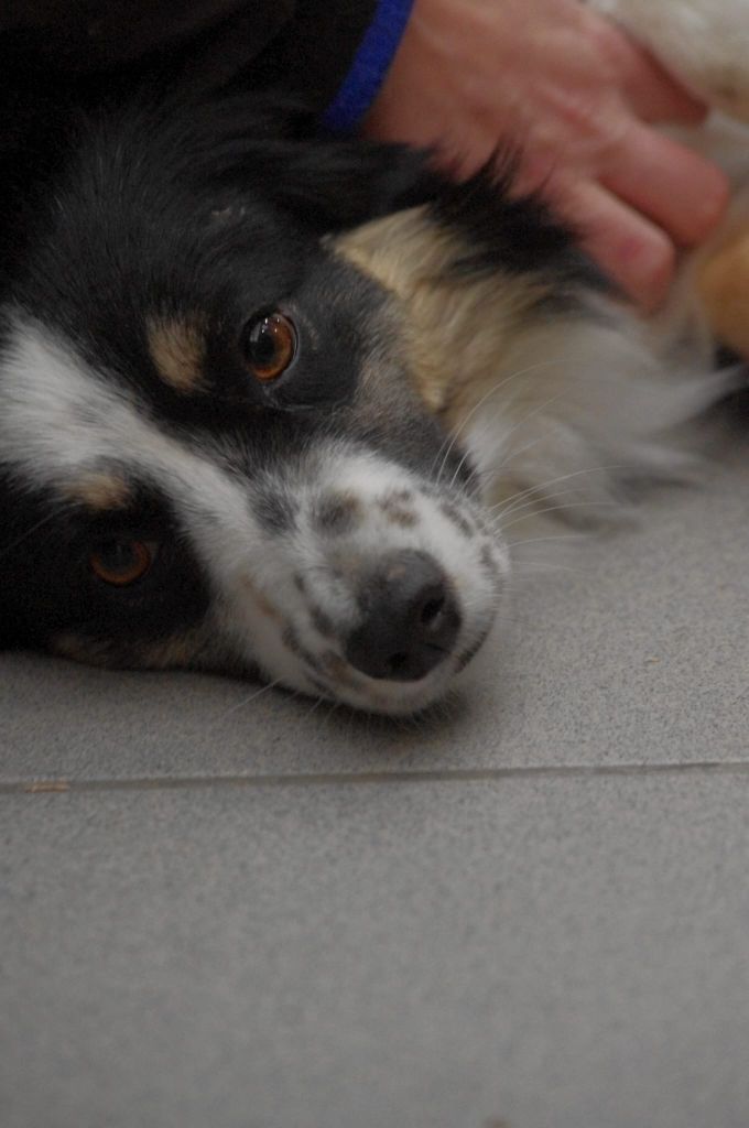 Publication : Du Délice D'Héra 