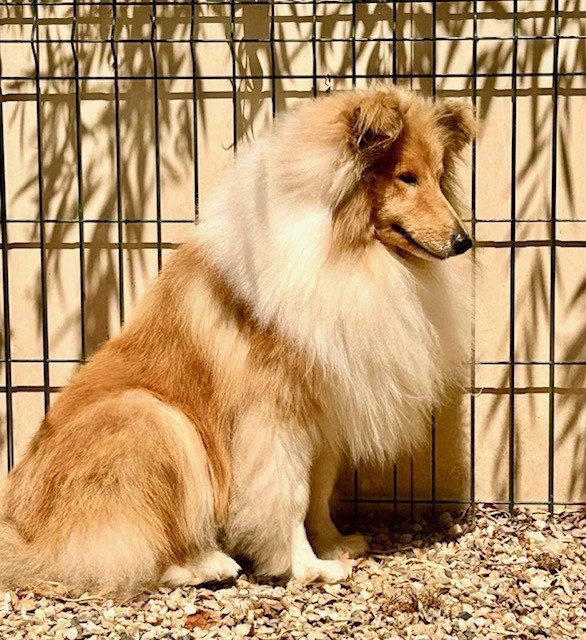 Publication : Du Coeur Des Terres 