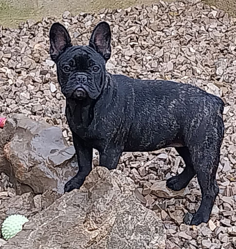 Publication : Du Mas Des Petites Garrigues 