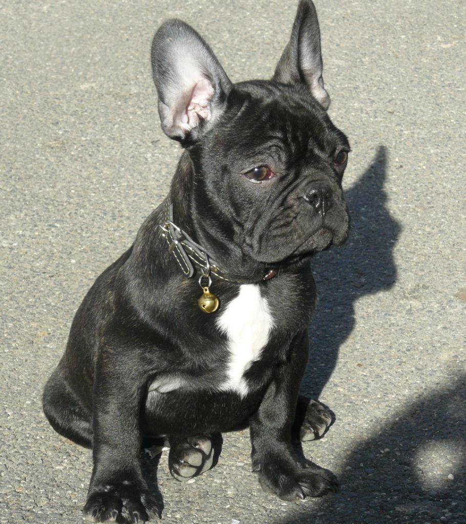 Publication : Du Mas Des Petites Garrigues 