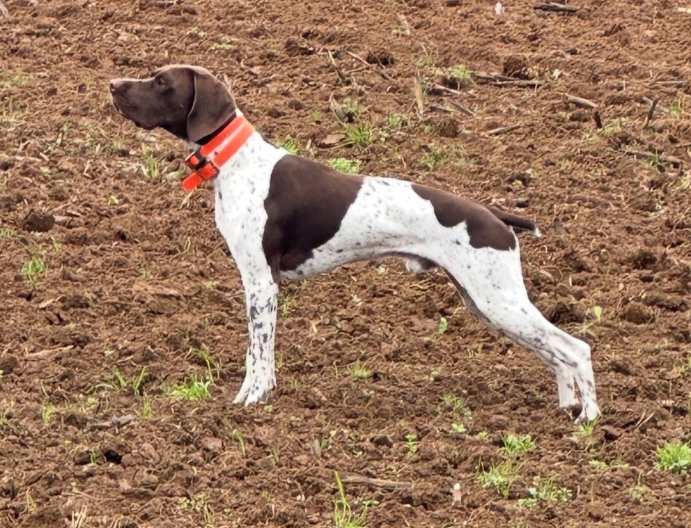 Publication : Carole Rousseau 