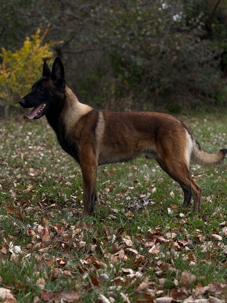 Publication : laetitia Guyot Auteur : laetitia Guyot